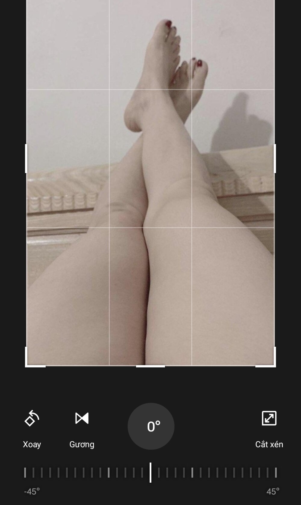 -sansan-