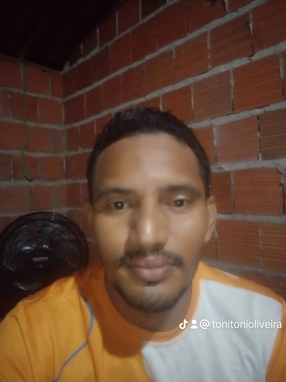 68_Toni