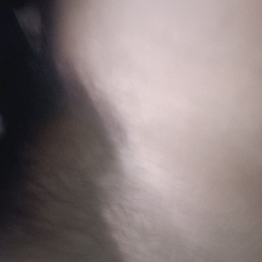 AloneDick