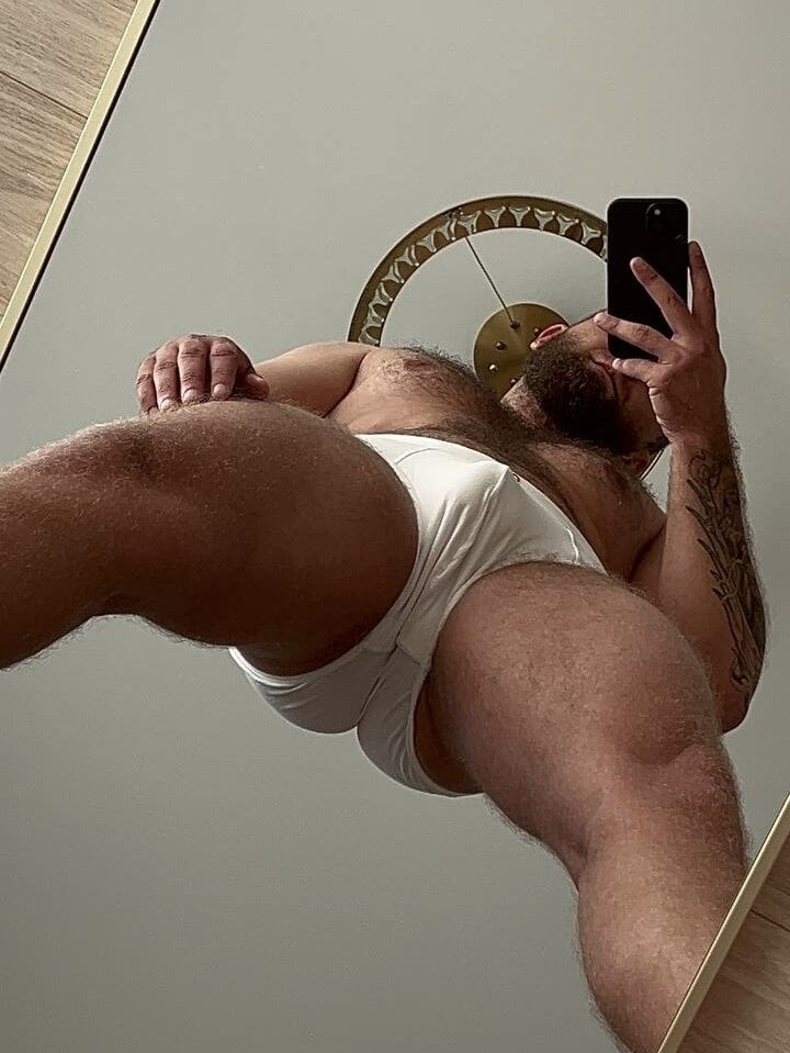 Bear_bear_