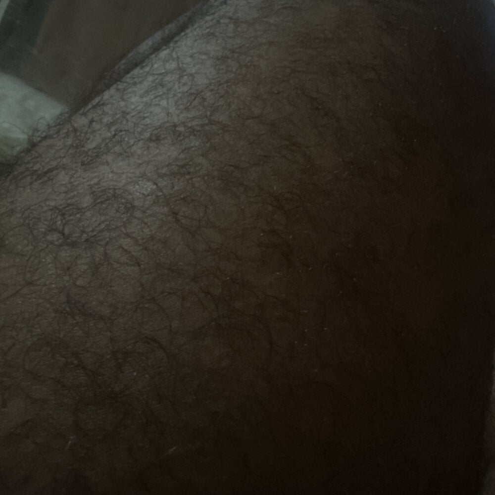 BidBear99