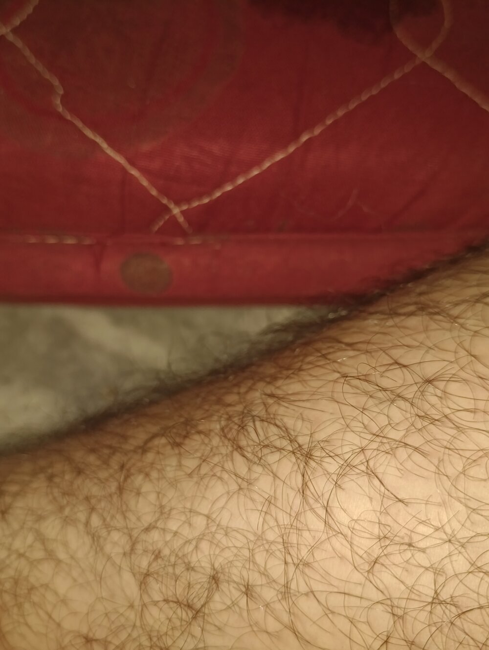 Hairyboysexy