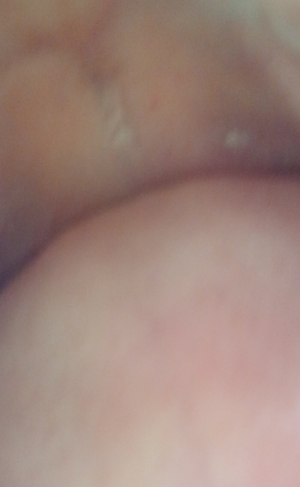 Hotdog4