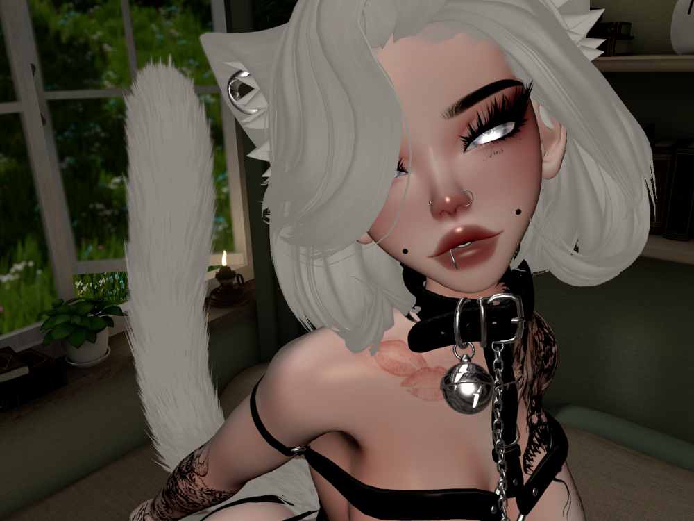 Kitten_Lush