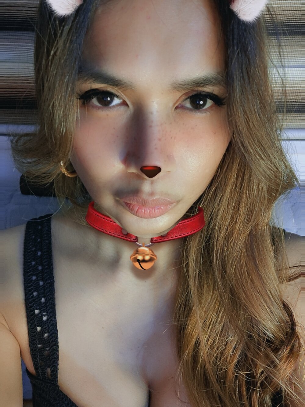 Lavanderfieldsx