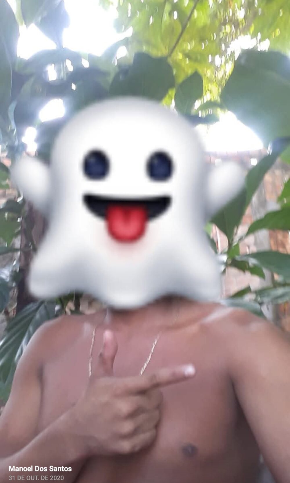 Novinho-Picudo_6969