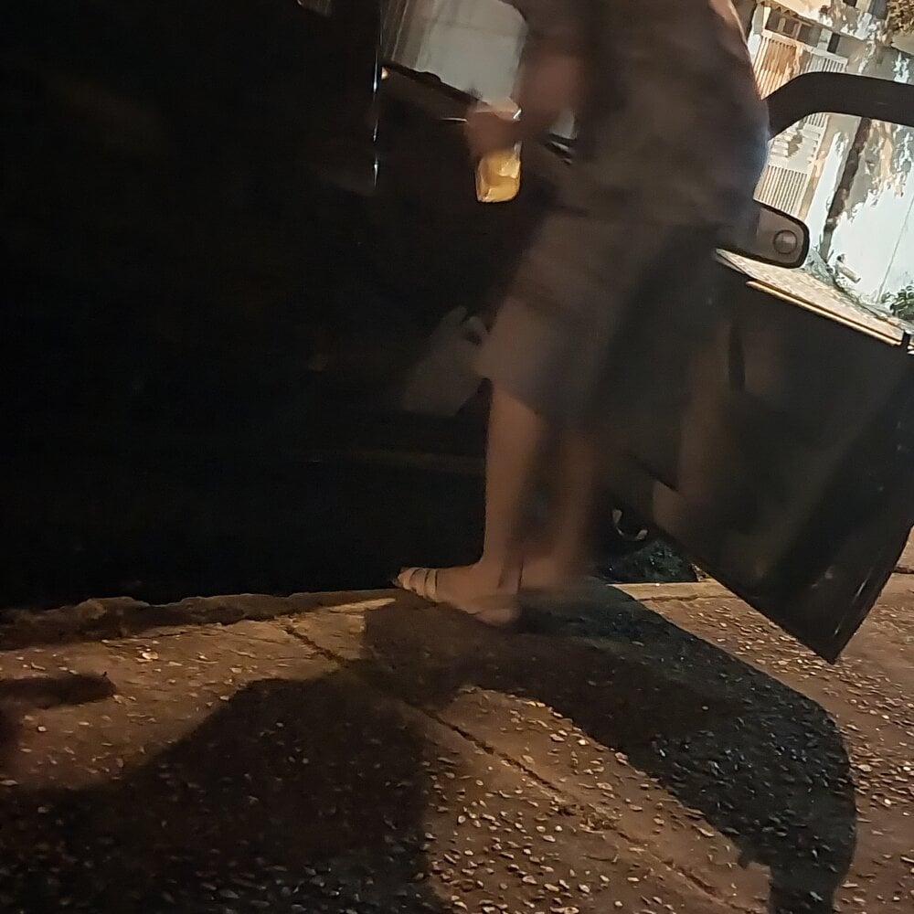 Novinhoamacoroas1002