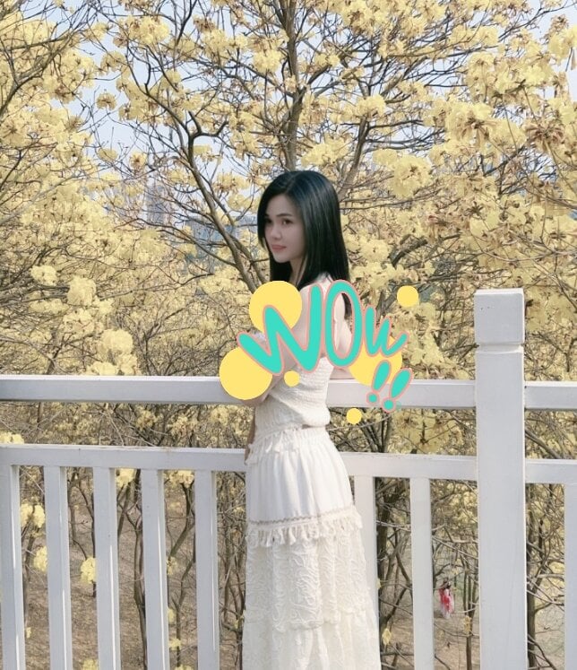 Snowbell-6