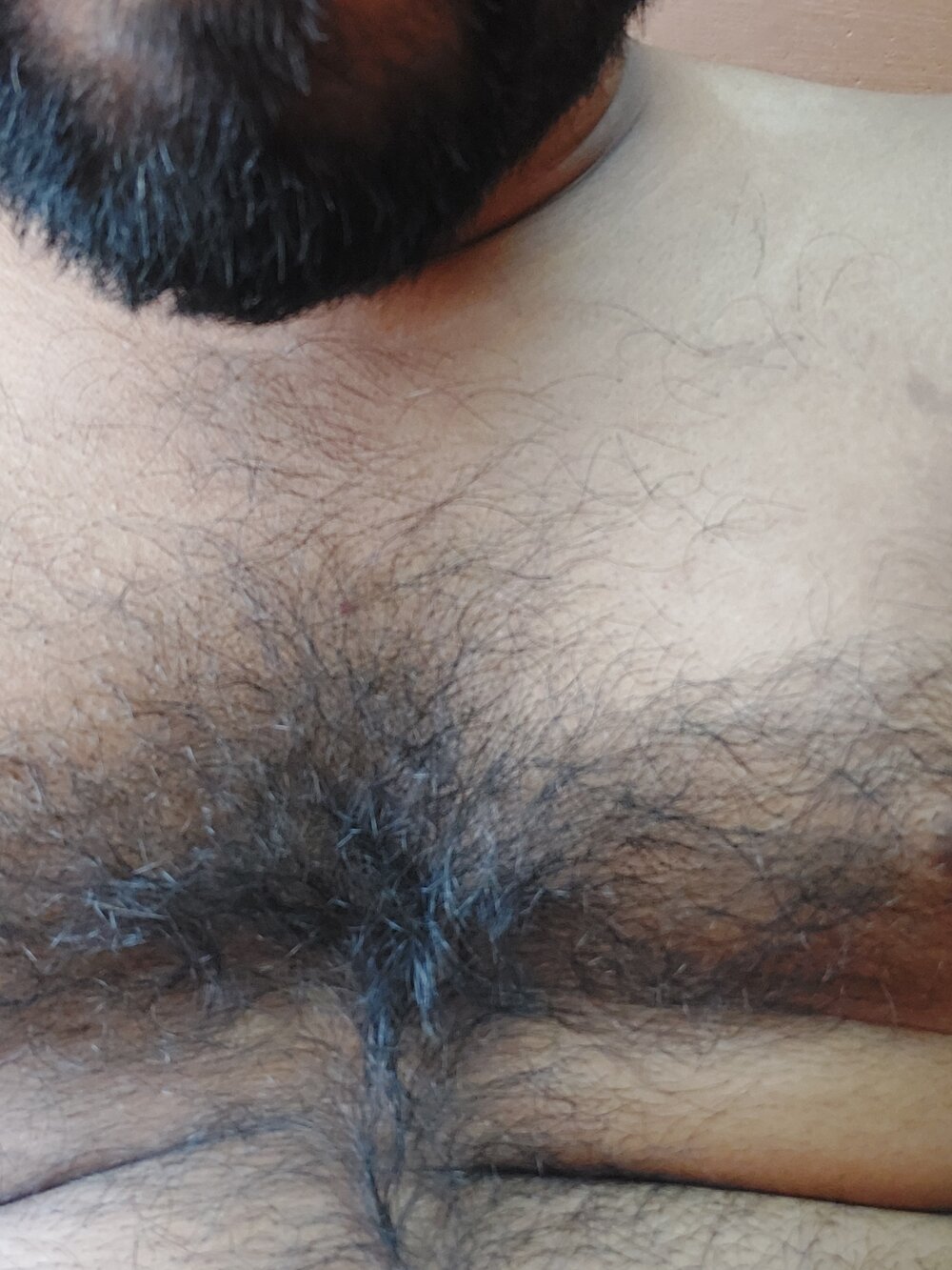 Tamilancock