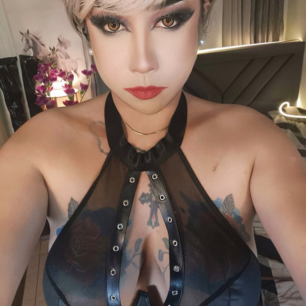 Transdomts4u