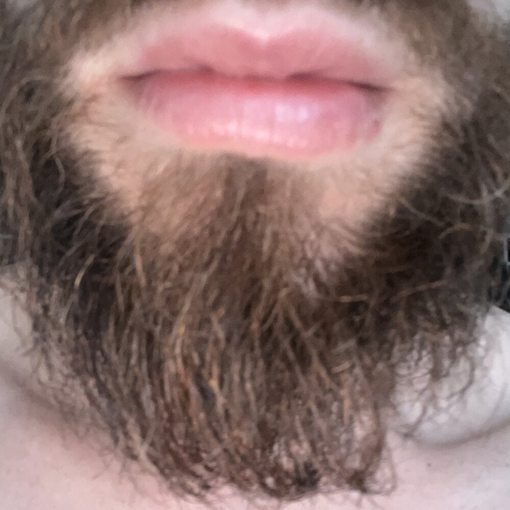 amigosafadinho4i20