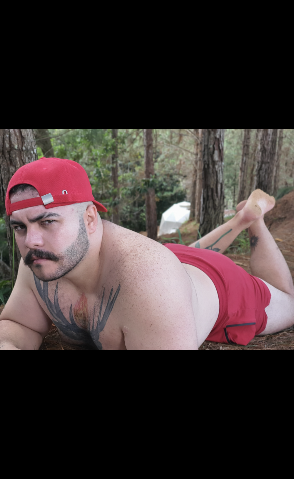 anubislogan
