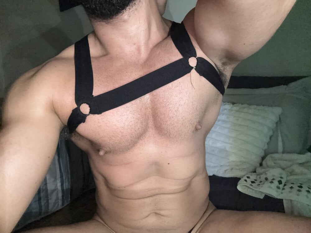arabiannights66