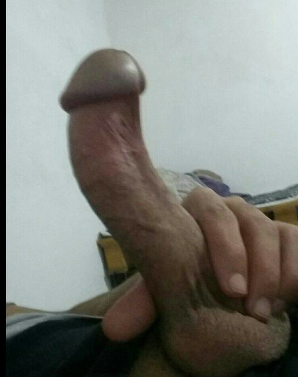 bozeb1arabe