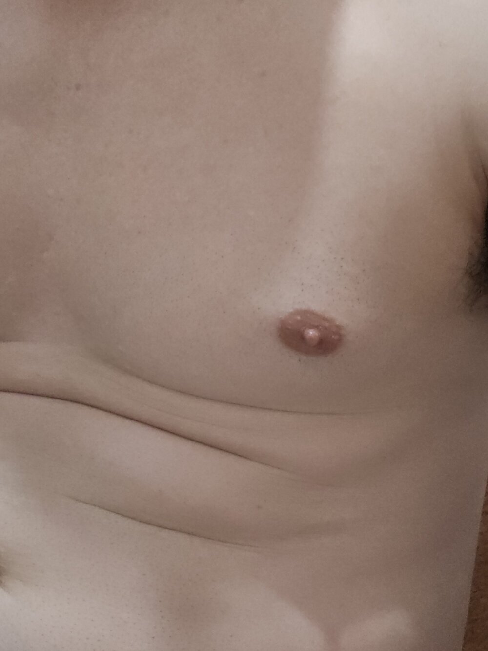 gabriel_briel