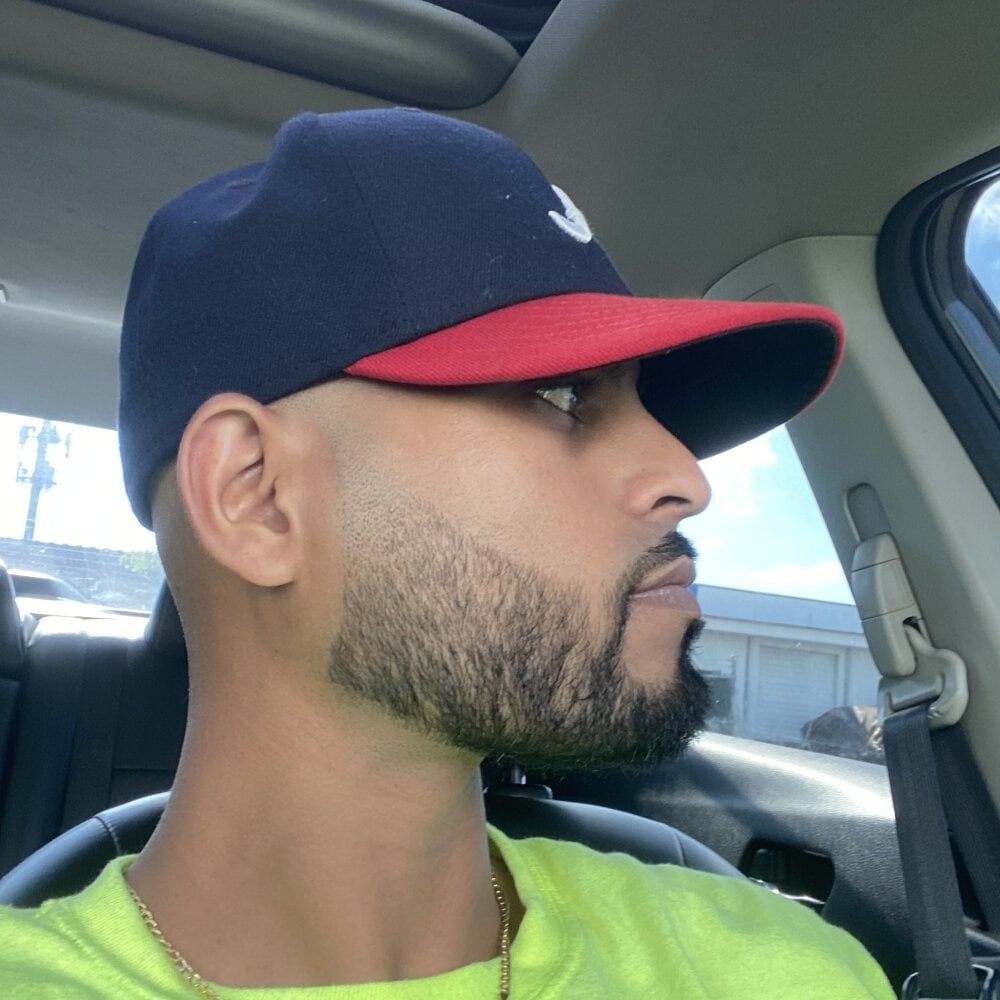 islandvybee55
