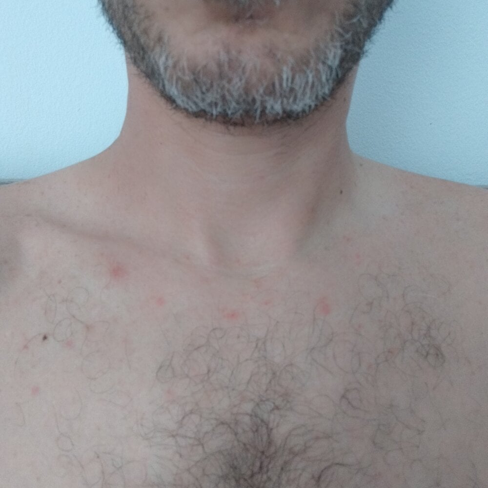 kostas19cm