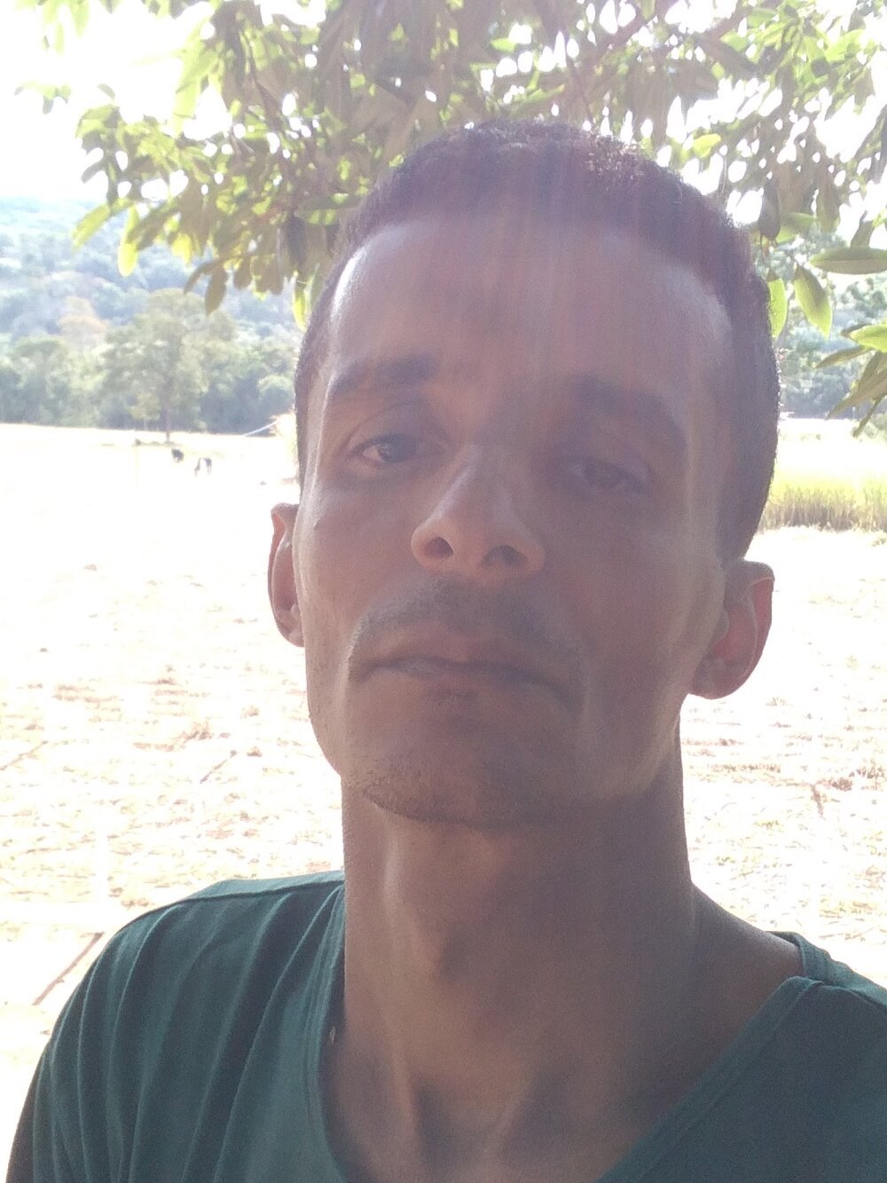 morenogato100