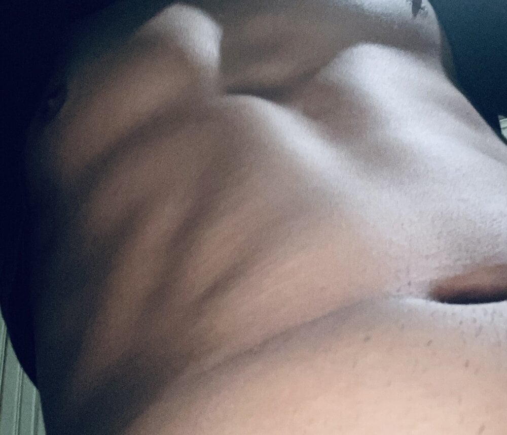 novincheidtesao