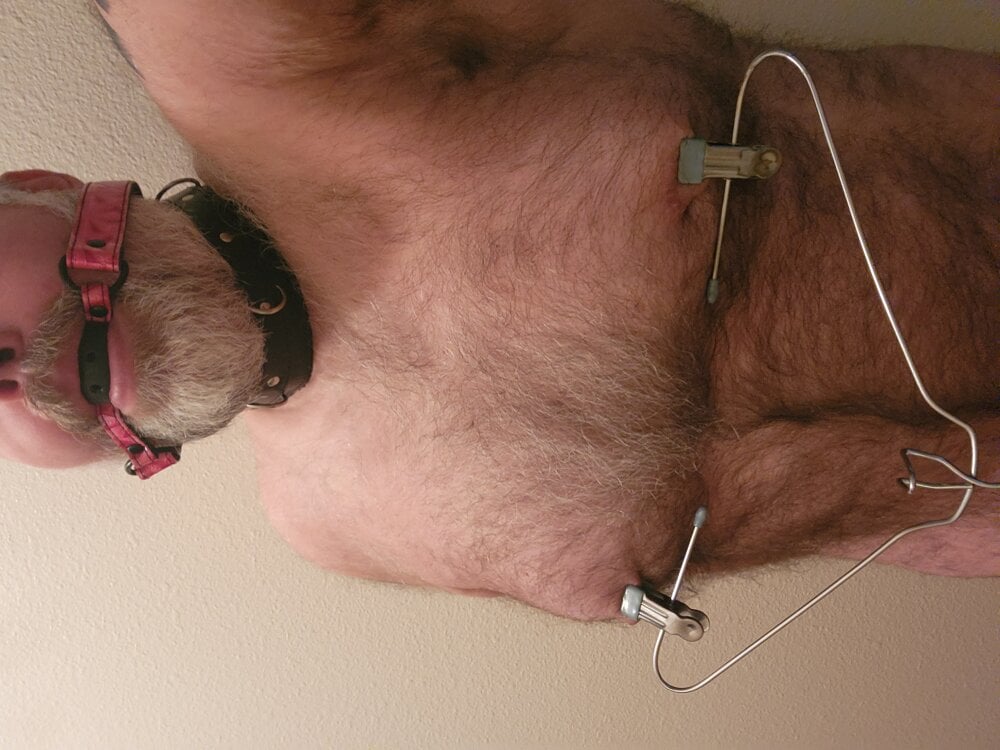 piggy4pain