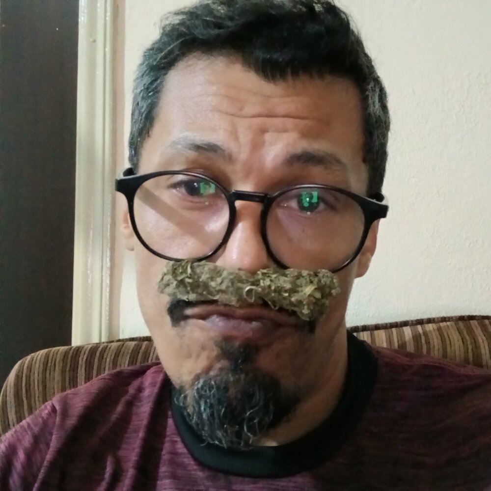 rfpicasso