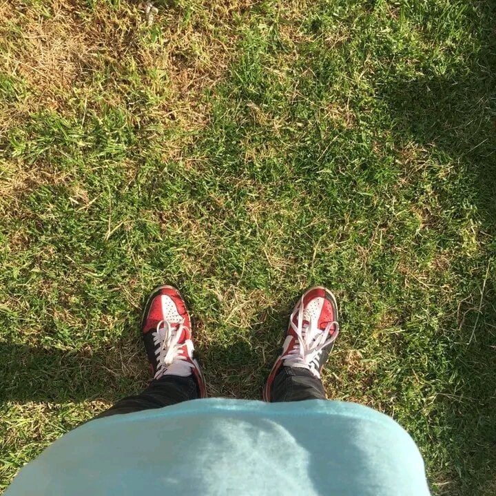 wxndrboylee